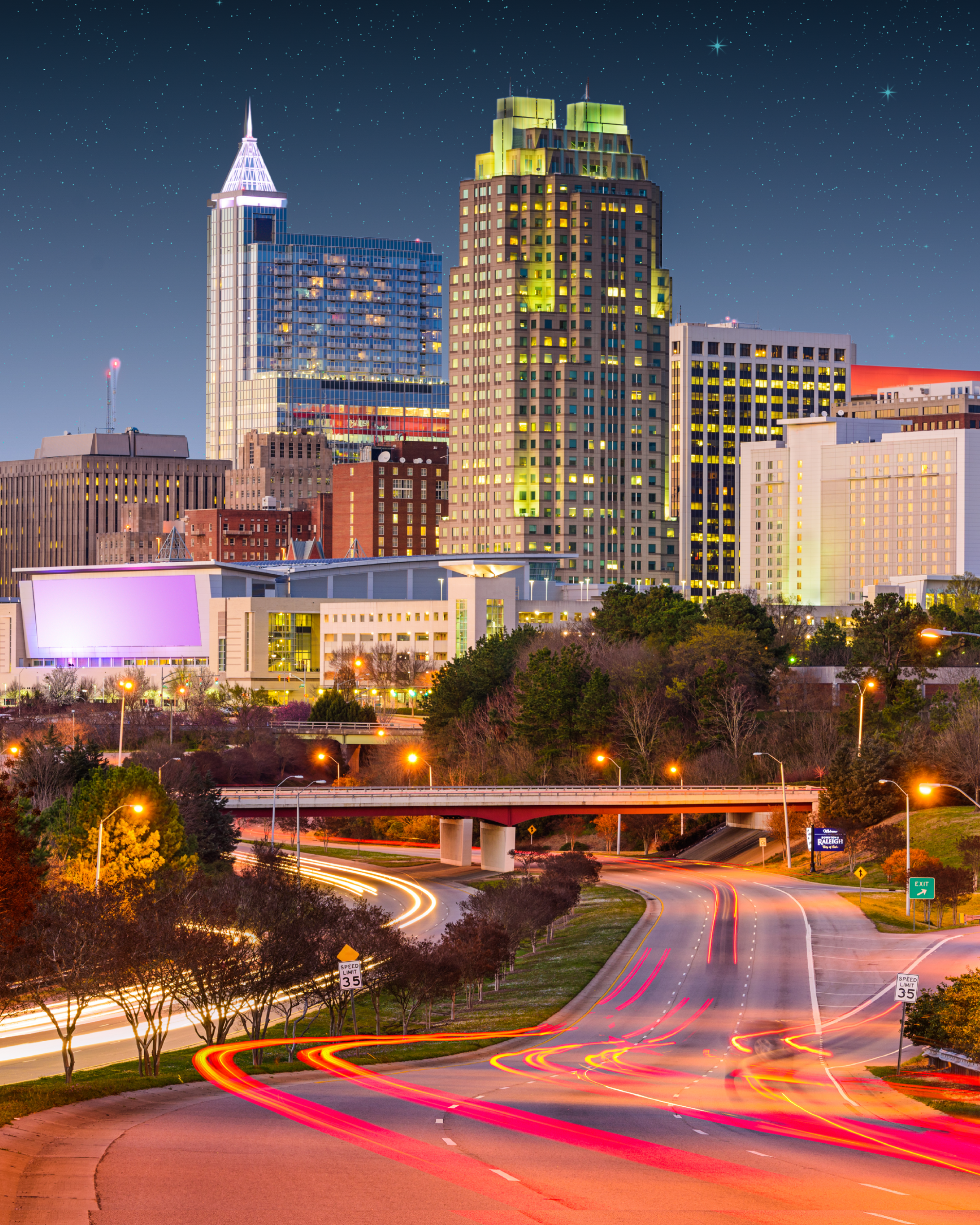 Raleigh skyline overview